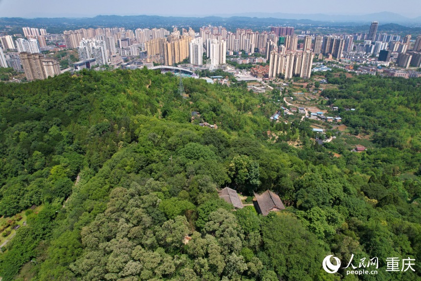 China em Movimento: Patrimônio Mundial impulsiona a construção de uma cidade cultural e turística internacional