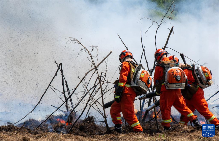 Exercício de combate a incêndios florestais “Missão de Emergência 2025