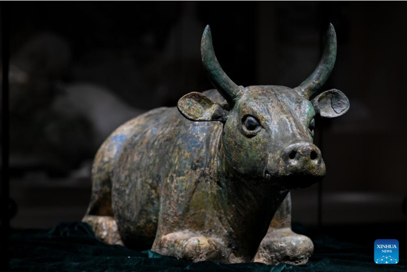 Inscrição dos Túmulos Imperiais de Xixia como Patrimônio Mundial impulsiona a Iniciativa de Civilização Global, diz funcionário