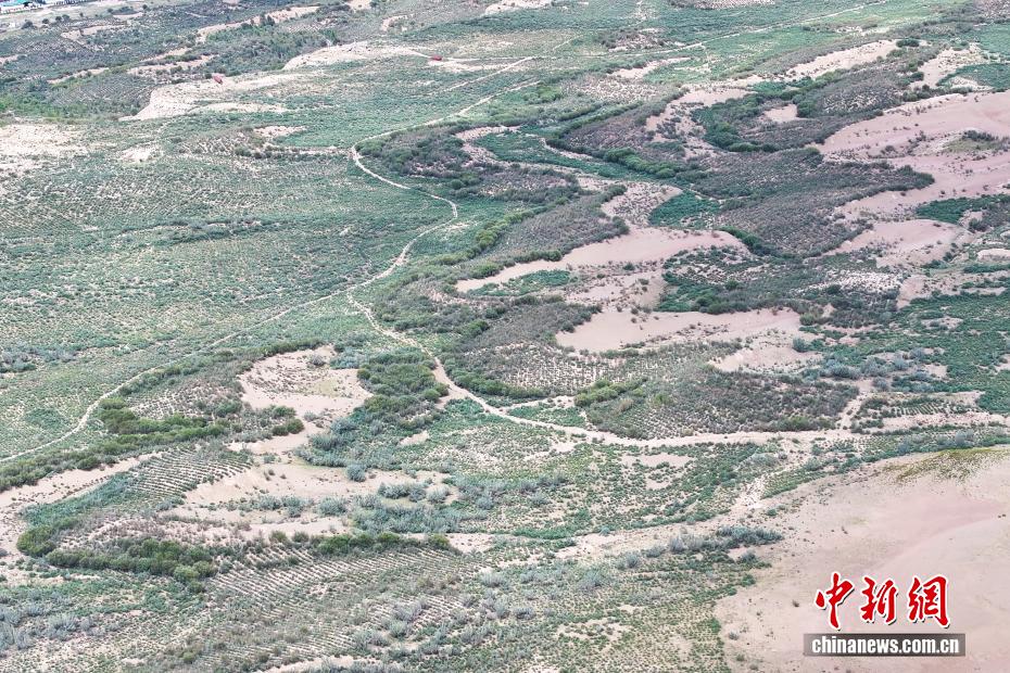 Shazhuyu: exemplo nacional na luta contra desertificação no noroeste da China