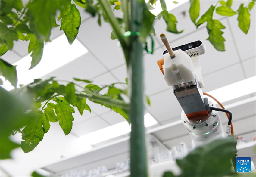 Cientistas chineses desenvolvem primeiro robô de reprodução inteligente de processo completo do mundo