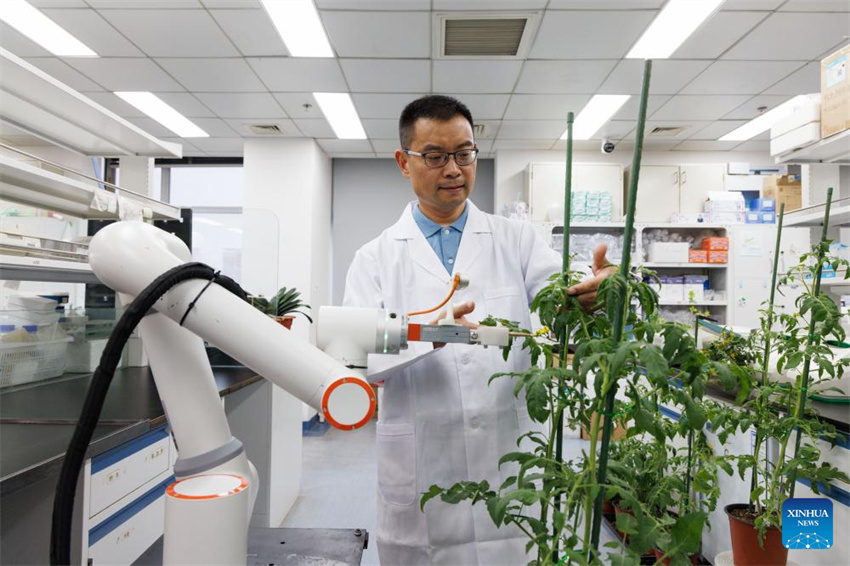Cientistas chineses desenvolvem primeiro robô de reprodução inteligente de processo completo do mundo