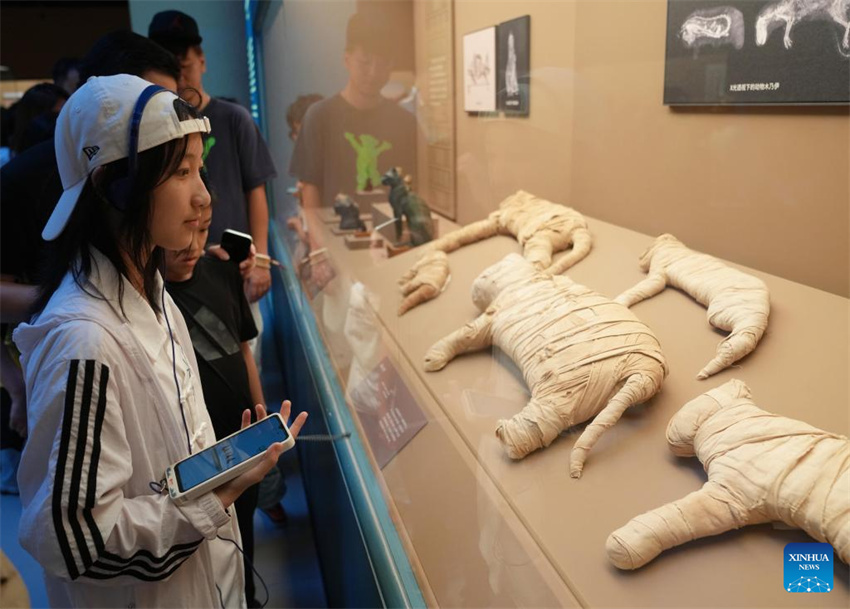 Exposição sobre a civilização do Antigo Egito é inaugurada no Museu de Shanghai