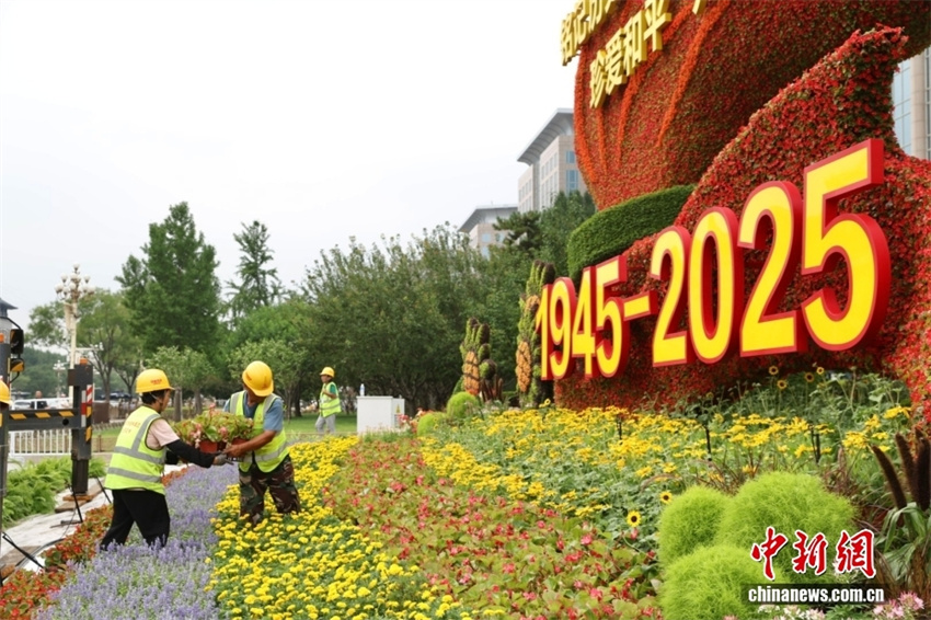 Beijing instala canteiro temático de flores para comemorar 80º aniversário da vitória na Guerra de Resistência do Povo Chinês contra a Agressão Japonesa