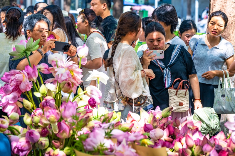 Suzhou celebra temporada de floração com mercado de lótus movimentado