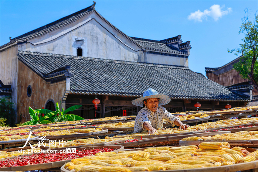 Secagem de grãos atrai turistas para vila antiga de Anhui, leste da China