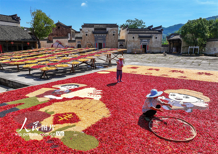 Secagem de grãos atrai turistas para vila antiga de Anhui, leste da China