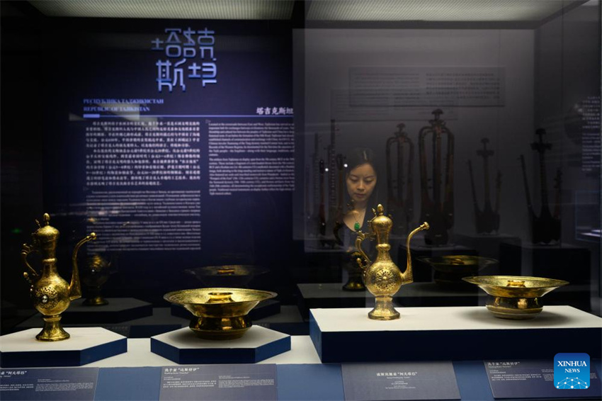 Exposição colaborativa sobre patrimônio cultural dos países da OCS inaugura em Beijing
