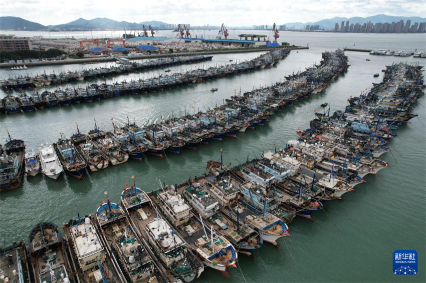 Barcos de pesca chegam ao porto e tripulantes desembarcam em preparo para Tufão Ragasa