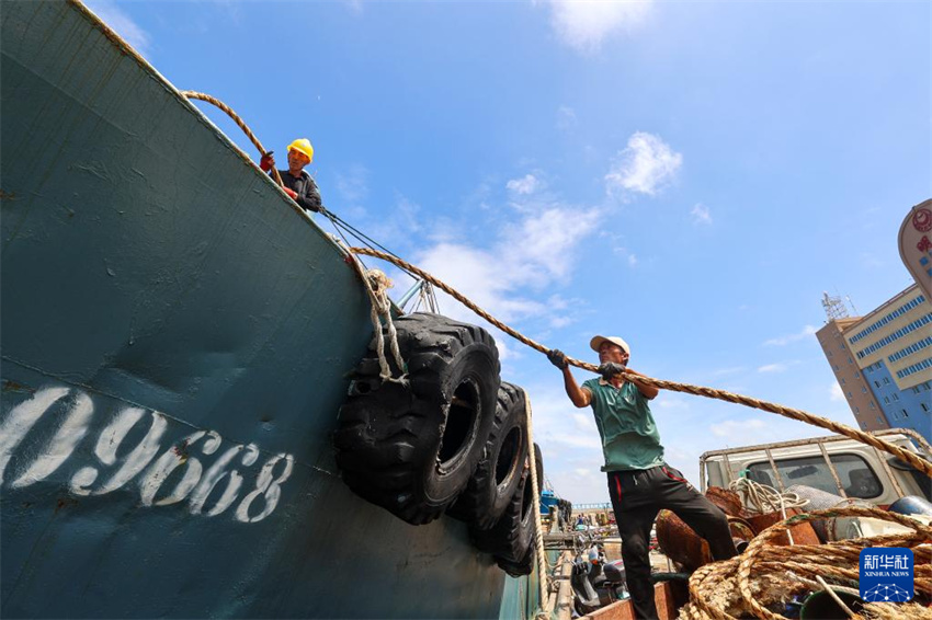 Barcos de pesca chegam ao porto e tripulantes desembarcam em preparo para Tufão Ragasa