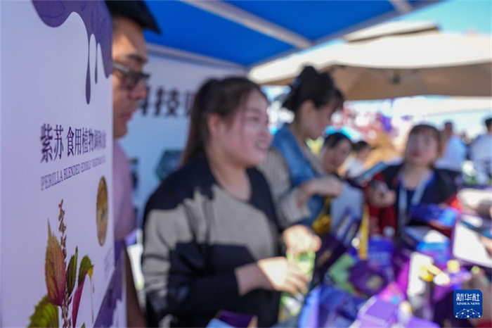 China celebra o 8º Festival de Safra