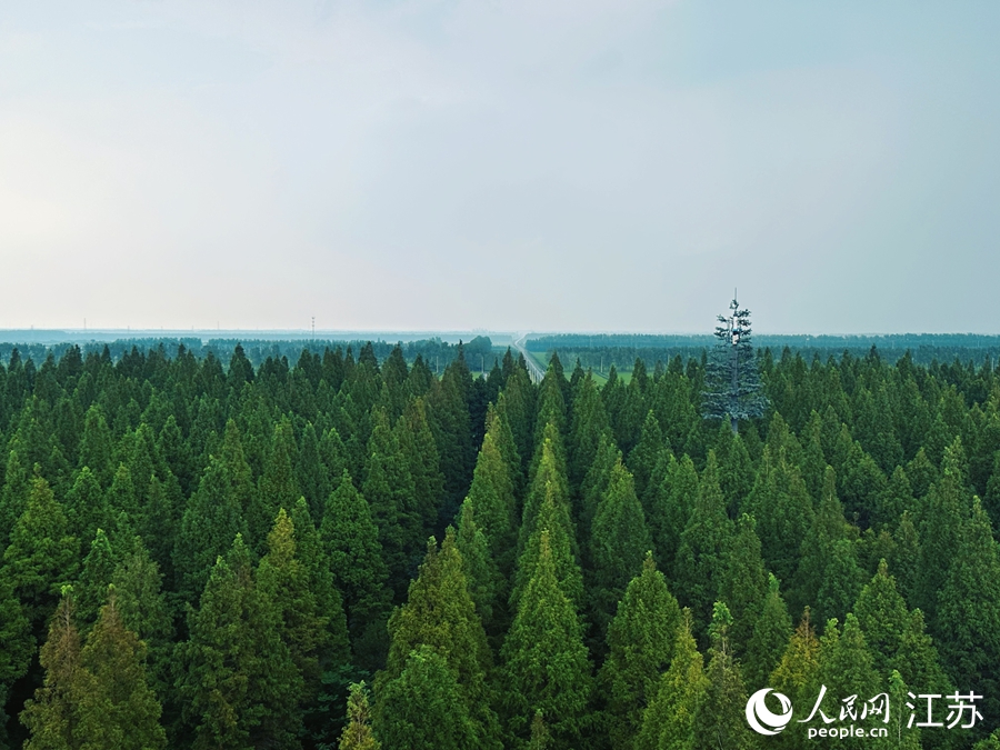 World Coastal Forum 2025 é inaugurado em Yancheng, Jiangsu