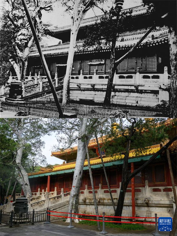 Museu do Palácio celebra seu centenário