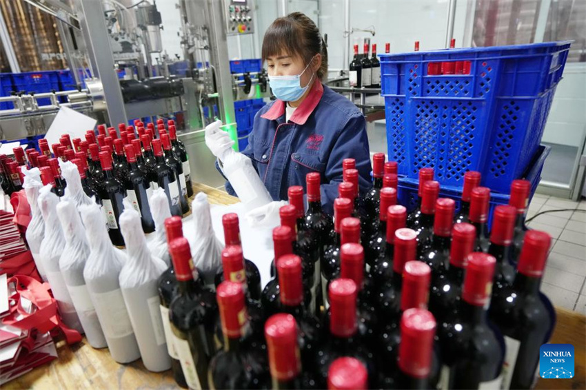 Ningxia: vila de Minning prospera em meio à transformação ecológica