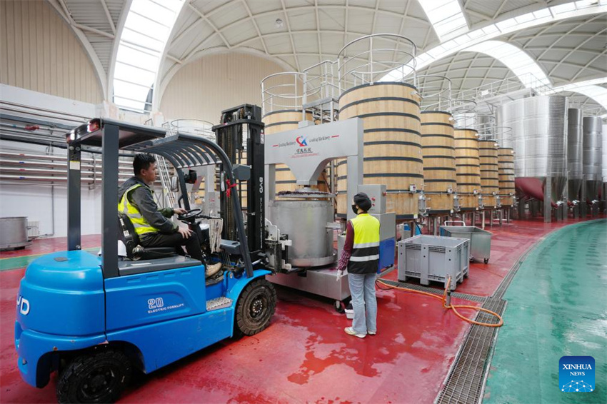 Ningxia: vila de Minning prospera em meio à transformação ecológica