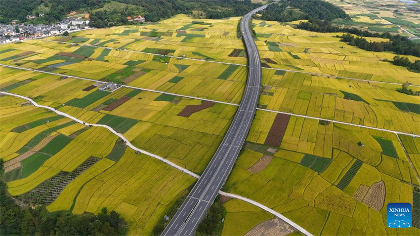 Galeria: paisagem outonal em toda a China