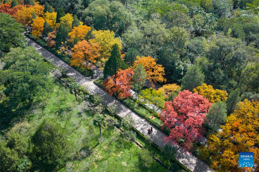 Galeria: paisagem outonal em toda a China