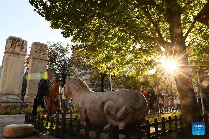 Museu de Arte de Escultura em Pedra de Beijing atrai turistas