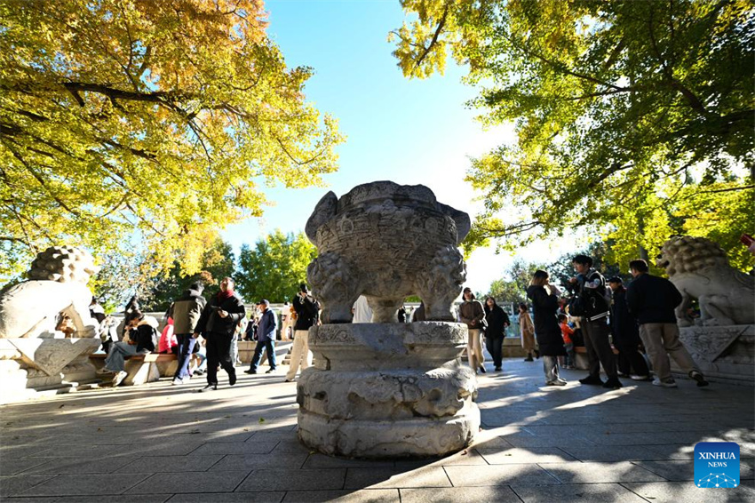 Museu de Arte de Escultura em Pedra de Beijing atrai turistas