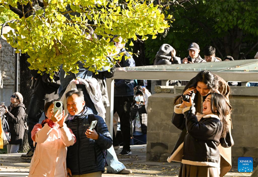 Museu de Arte de Escultura em Pedra de Beijing atrai turistas