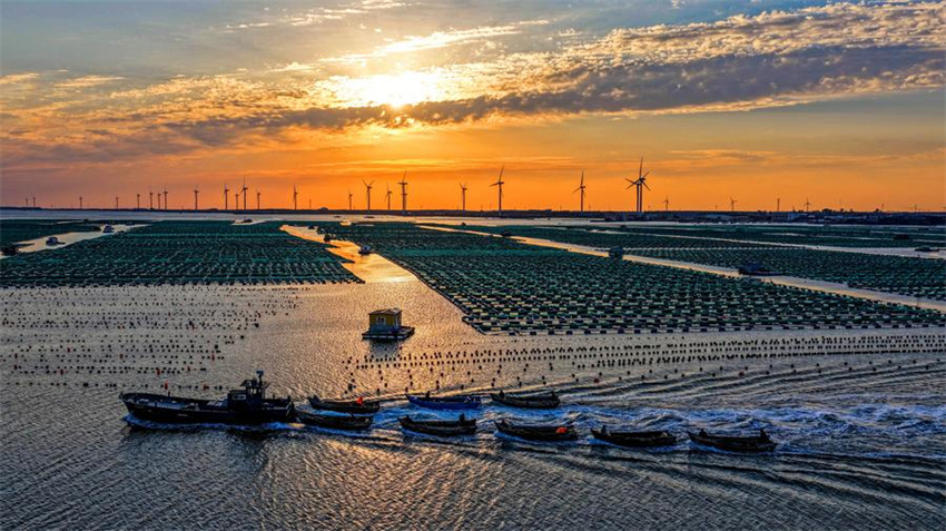 Testemunhando a construção de belas baías em Shandong, no leste da China