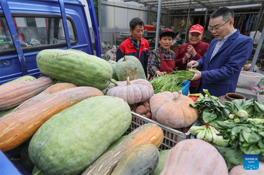 Festival de Chongyang é comemorado em toda a China