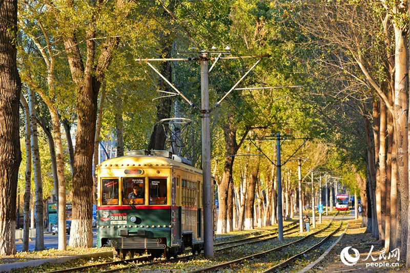 Bonde cultural e turístico se torna 
