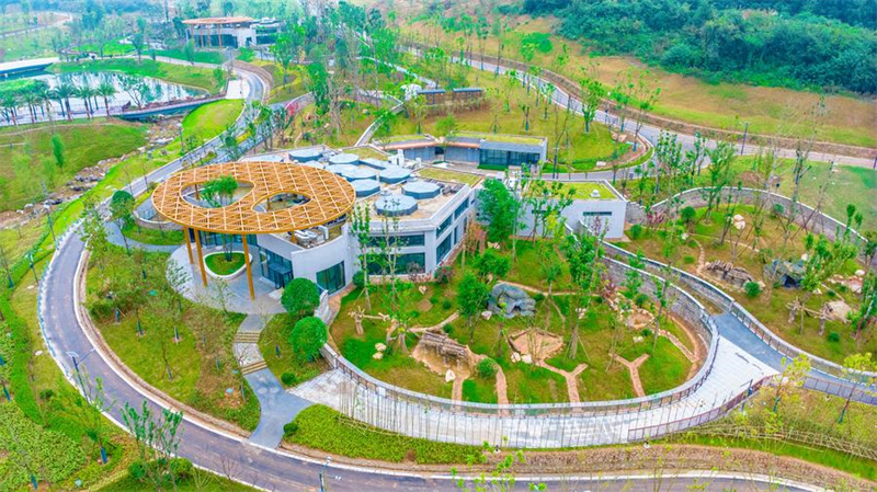 Nova base de pandas inicia operação experimental no sudoeste da China