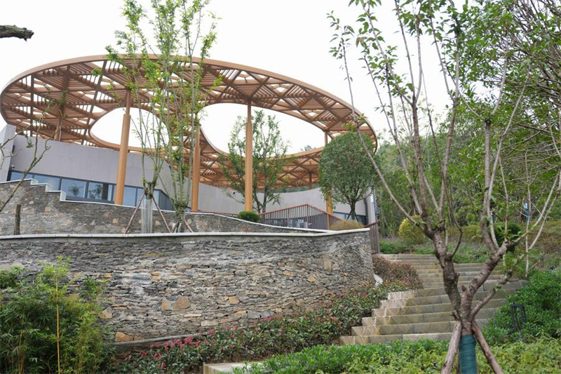 Nova base de pandas inicia operação experimental no sudoeste da China