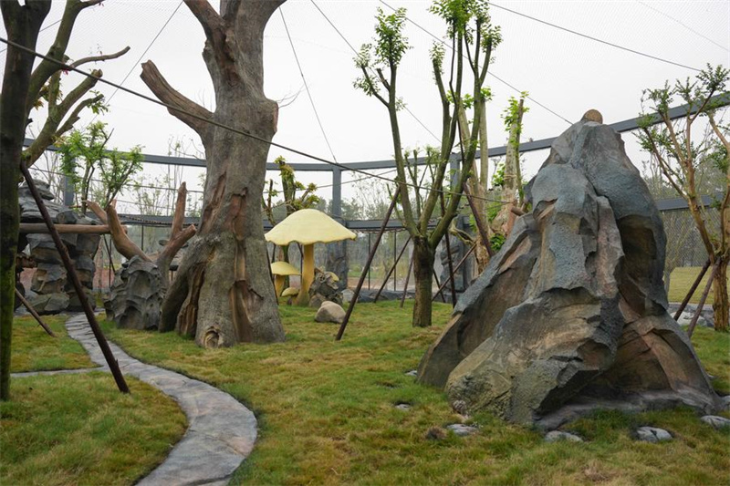 Nova base de pandas inicia operação experimental no sudoeste da China