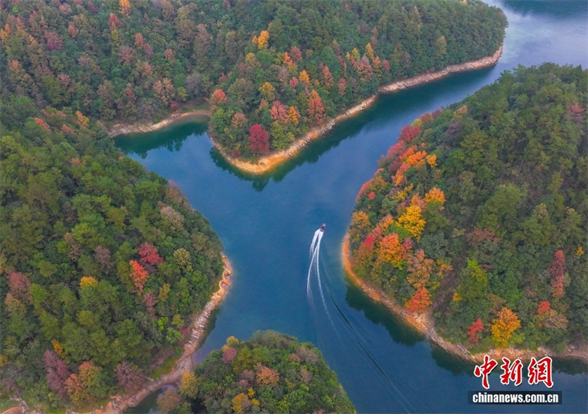 Galeria: Cores vibrantes da Ilhas do Lago das Mil Ilhas em Zhejiang, leste da China
