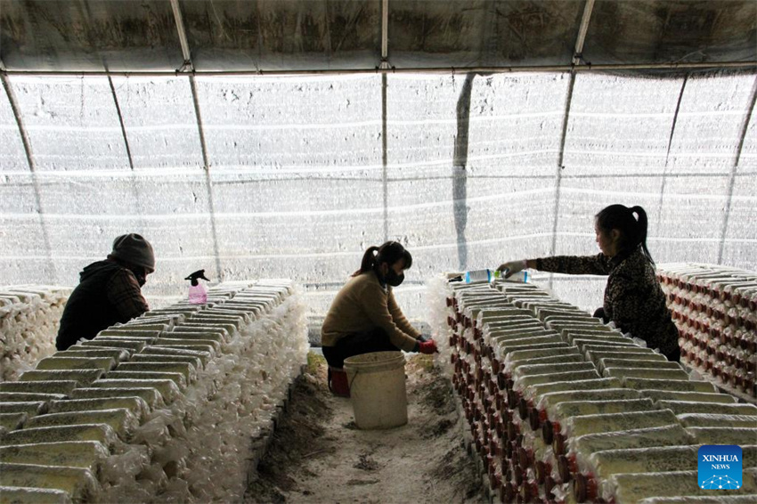 Rodovia nacional G331 da China traz vitalidade à região