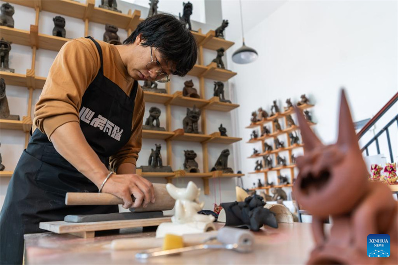 Jovem herdeira revive antiga arte de gatos guardiões no sudoeste da China