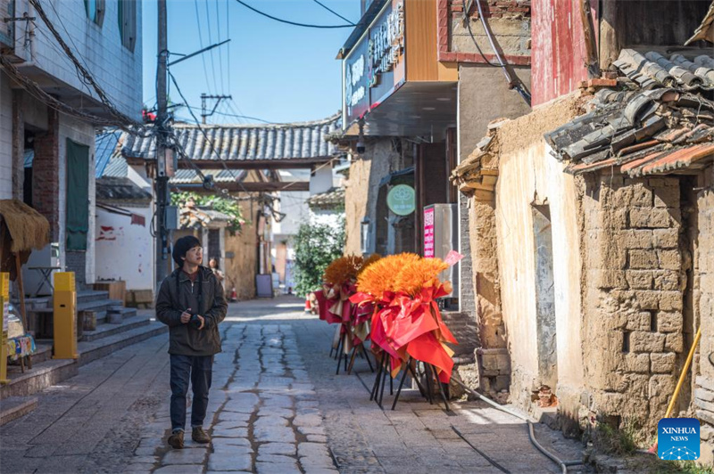 Jovem herdeira revive antiga arte de gatos guardiões no sudoeste da China