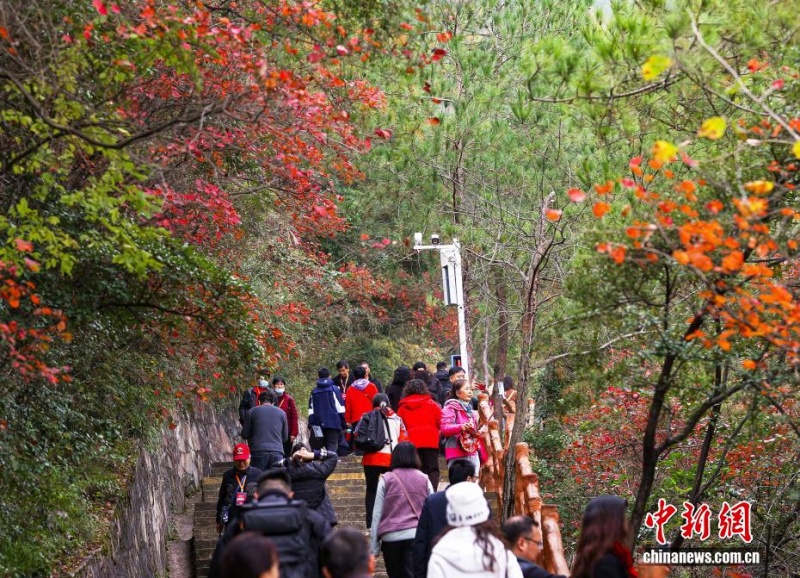Montanhas rubras nas Três Gargantas: o espetáculo das folhas de Wushan