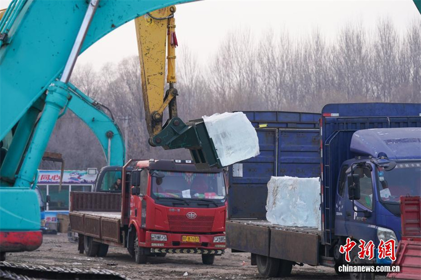 27º Harbin Ice and Snow World arranca com a utilização de 200 mil metros cúbicos de gelo armazenado