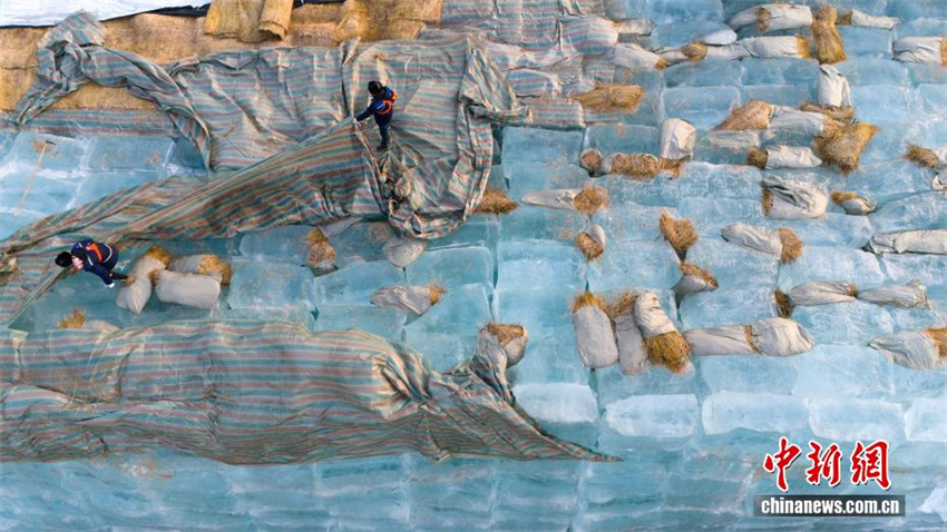 27º Harbin Ice and Snow World arranca com a utilização de 200 mil metros cúbicos de gelo armazenado