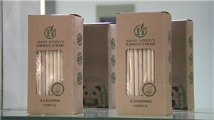 Inovação no uso do bambu impulsiona desenvolvimento de baixo carbono em Anhui, no leste da China Em Chizhou, na província de Anhui, no leste da China, o bambu está emergindo como uma alternativa sustentável no cotidiano. 