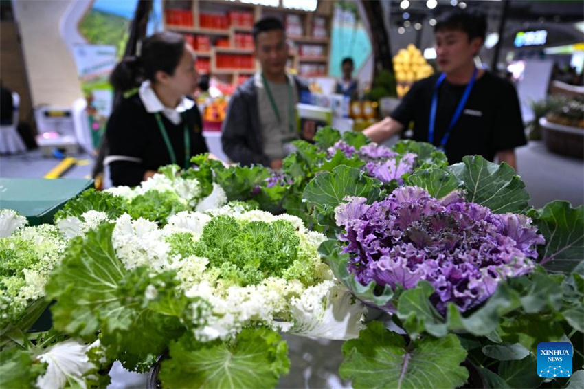 28ª Feira Internacional de Inverno da China (Hainan) inaugurada em Haikou