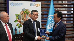 Cientista chinês ganha Prêmio Mundial Glinka do Solo 2025 Zhang Ganlin, pesquisador do Instituto de Ciência do Solo da Academia Chinesa de Ciências, recebeu o Prêmio Mundial Glinka do Solo 2025 na sexta-feira, na comemoração do Dia Mundial do Solo.