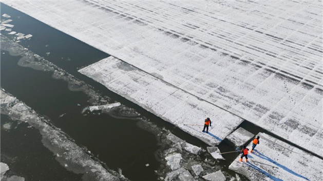 Coleta de gelo decorre na "cidade do gelo" chinesa, Harbin