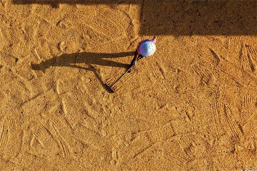 Produção de grãos da China ultrapassa 714 milhões de toneladas em 2025