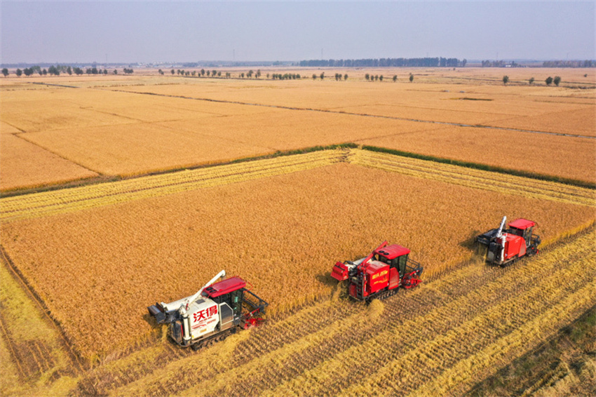 Produção de grãos da China ultrapassa 714 milhões de toneladas em 2025