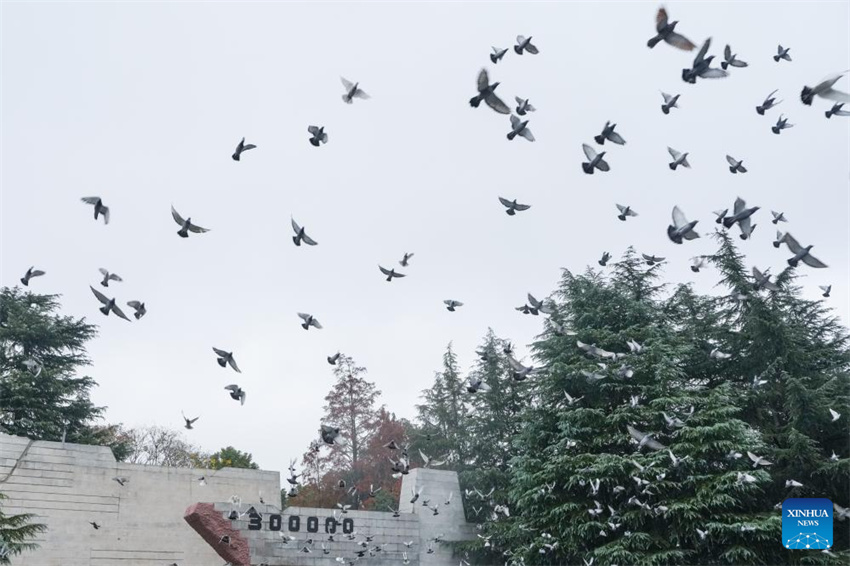 China realiza cerimônia memorial nacional pelas vítimas do Massacre de Nanjing, pedindo que a história seja lembrada