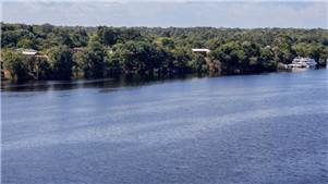 Brasil aprova novo Plano Clima e traça roteiro para atingir metas do Acordo de ParisO governo brasileiro anunciou na terça-feira a aprovação de um novo Plano Clima, instrumento estratégico que define o rumo para o cumprimento dos compromissos do país no âmbito do Acordo de Paris.