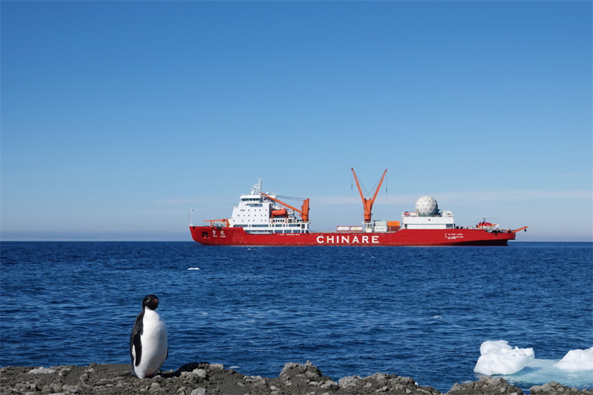 Quebra-gelo de pesquisa chinês Xuelong chega à estação Qinling e inicia descarregamento de carga