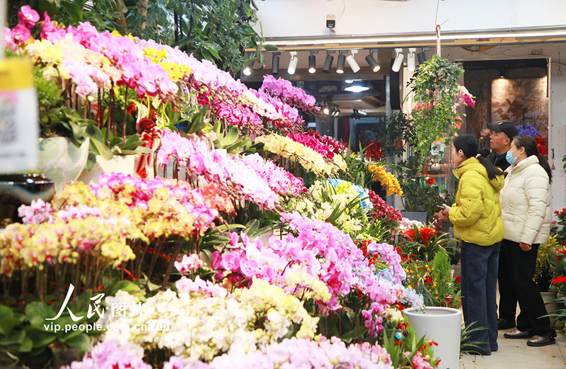Galeria: Nanjing se enche de flores para celebrar chegada do Ano Novo