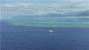 China divulga relatório de pesquisa sobre ecossistema de recifes de coral de Huangyan DaoA China divulgou, na segunda-feira, um relatório de pesquisa sobre o ecossistema de recifes de coral de Huangyan Dao, localizado na cidade de Sansha, na Província de Hainan, no extremo sul do país.