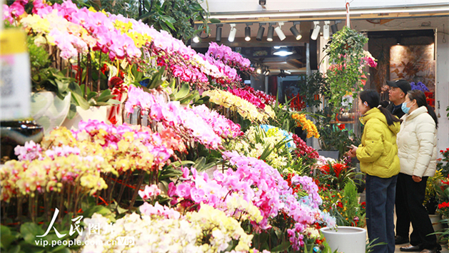 Galeria: Nanjing se enche de flores para celebrar chegada do Ano Novo
