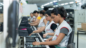 Taxa de desemprego no Brasil cai para o menor nível desde 2012 no período de setembro a novembroA taxa de desemprego no Brasil foi de 5,2% no período de setembro a novembro, com aproximadamente 5,644 milhões de desempregados, ambos os menores níveis desde que o instituto começou a coletar as estatísticas em 2012.